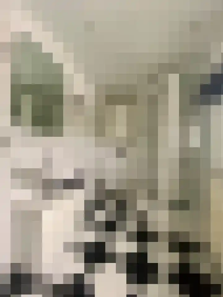 Visserstraat 46 Linne thumbnail 29