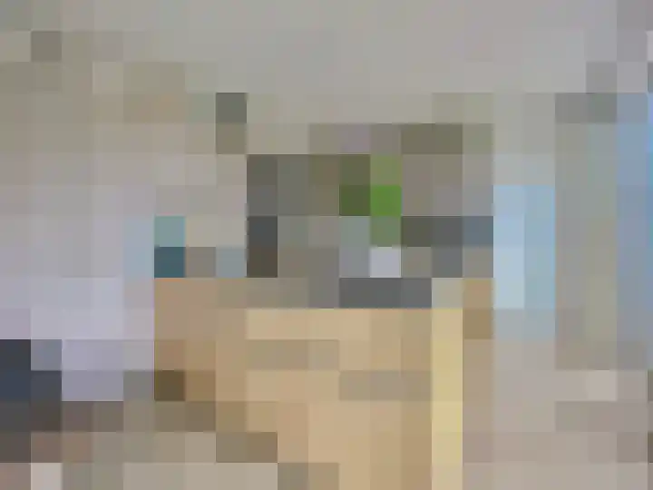 Visserstraat 46 Linne thumbnail 5