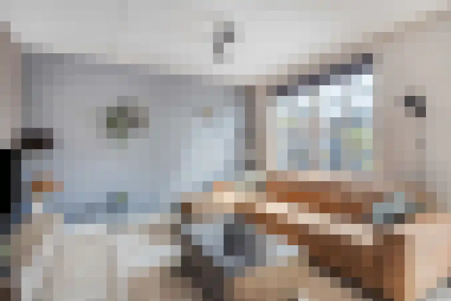 Visserstraat 48 Middelharnis thumbnail 14