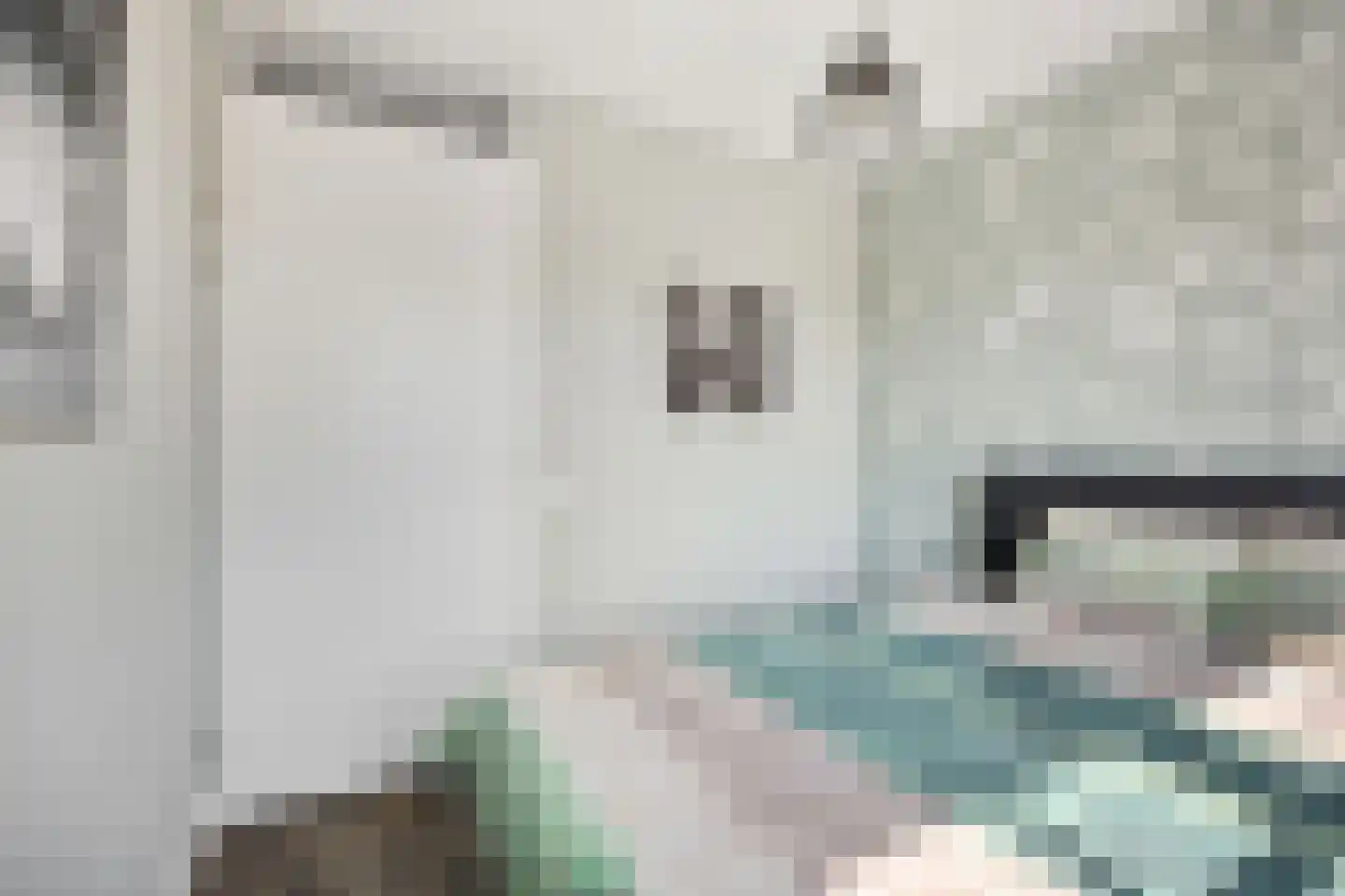 Visserstraat 48 Middelharnis thumbnail 25