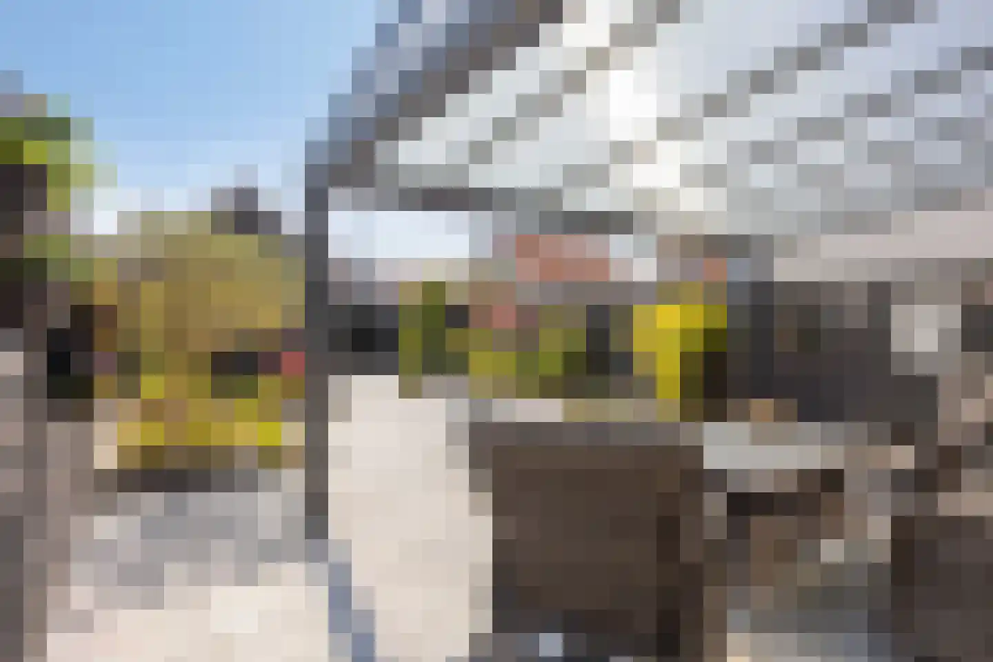 Visserstraat 48 Middelharnis thumbnail 30