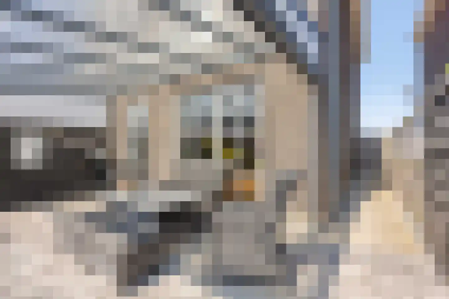 Visserstraat 48 Middelharnis thumbnail 31