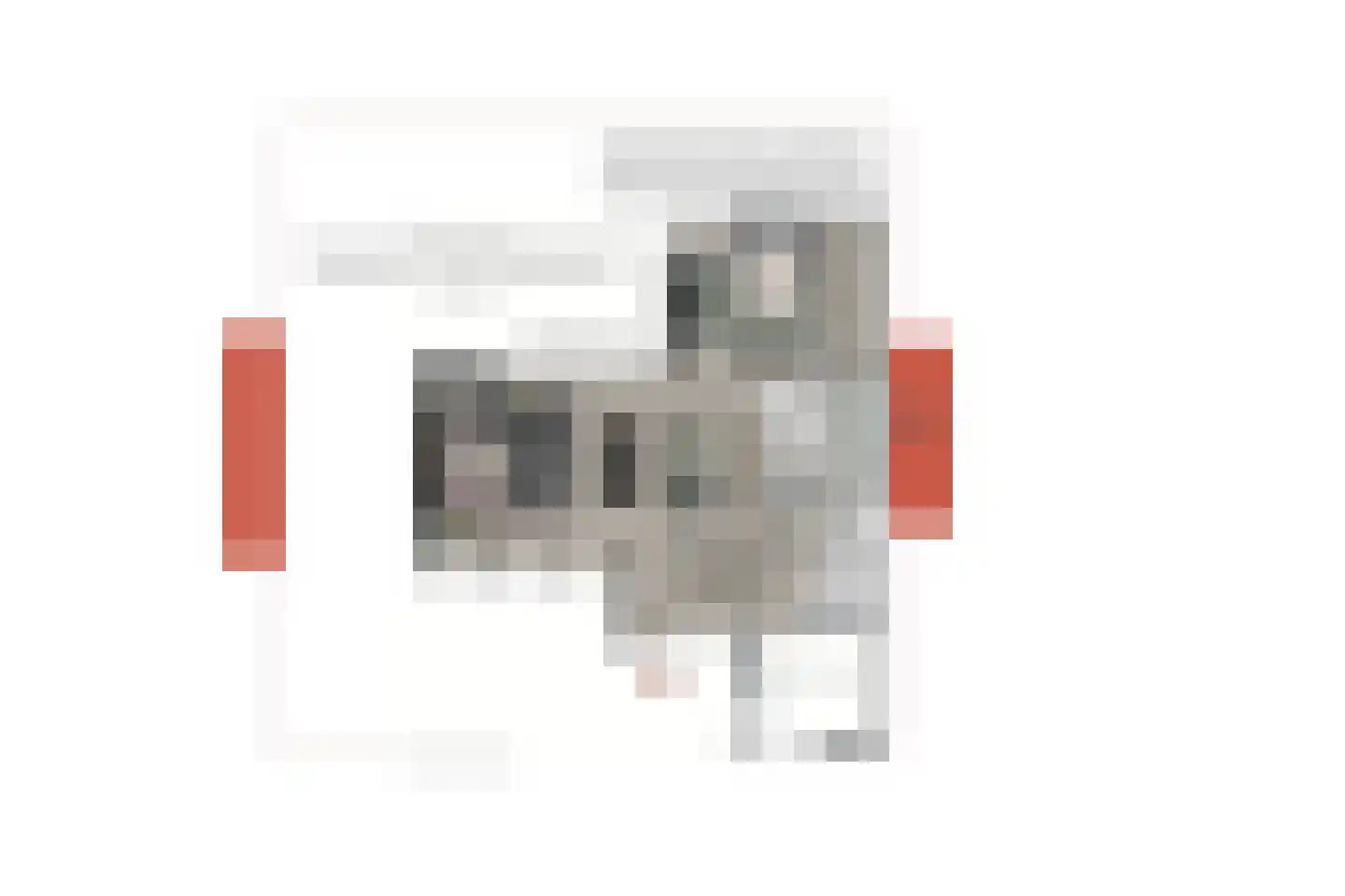 Visserstraat 5 Berkel en Rodenrijs thumbnail 33
