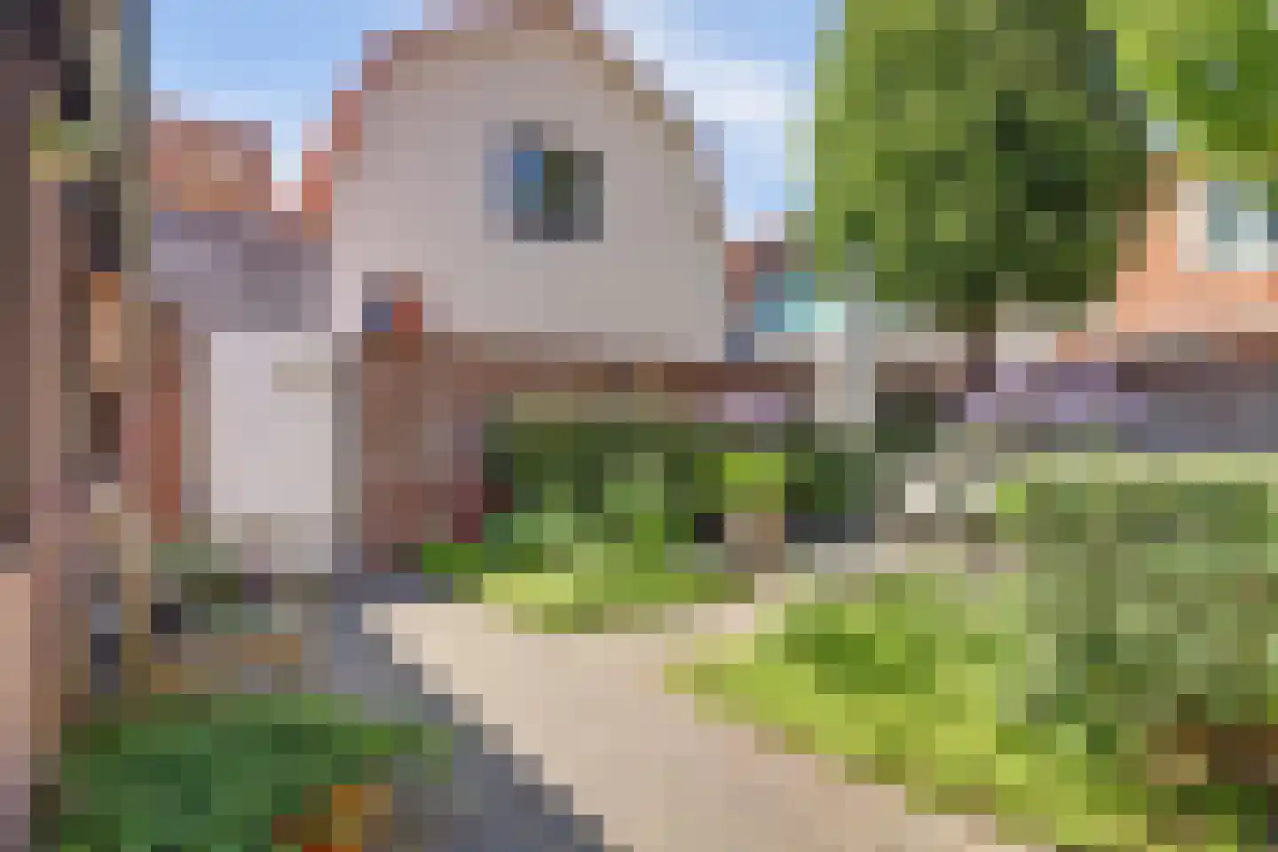 Visserstraat 5 Egmond aan Zee thumbnail 18