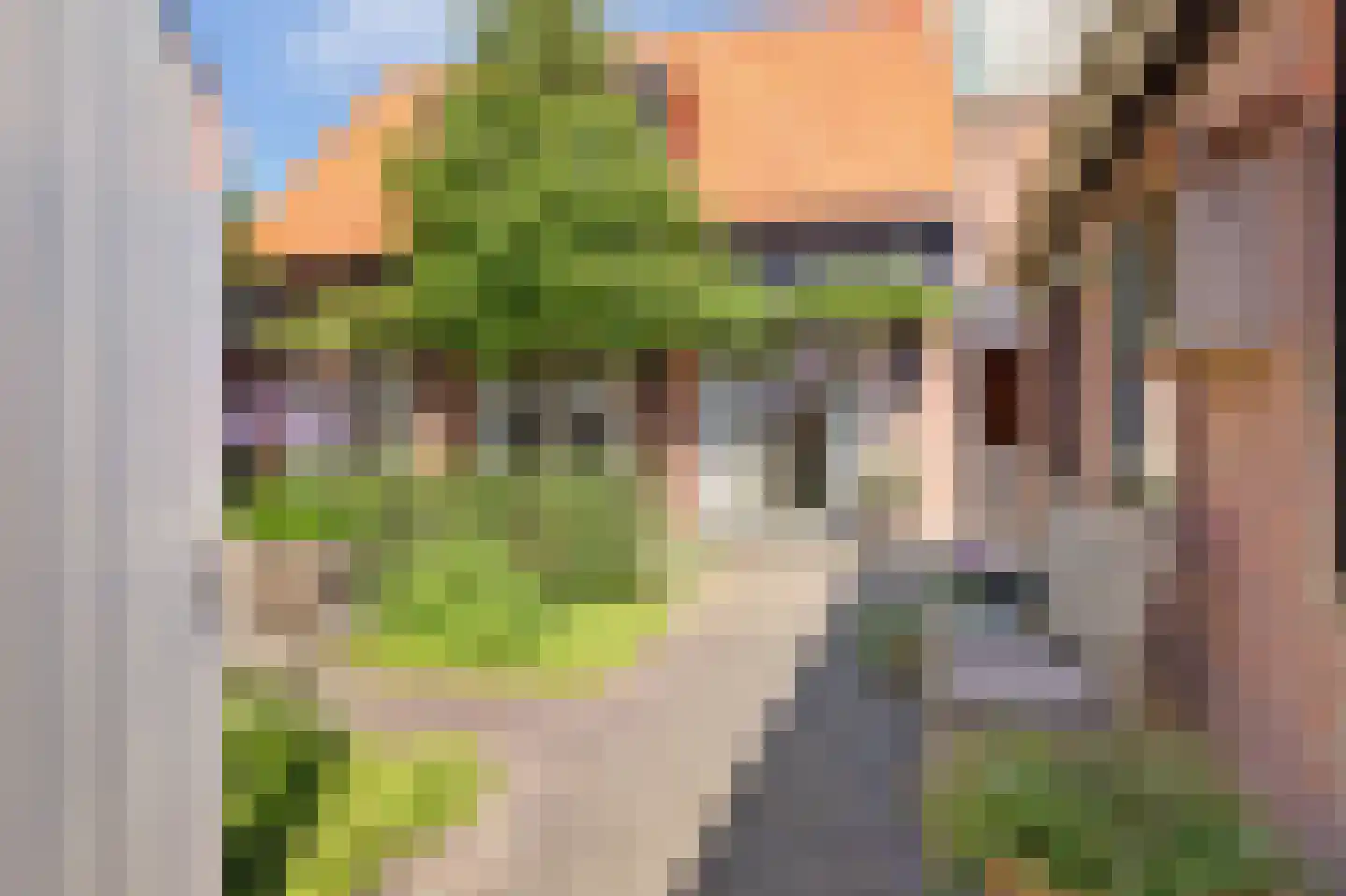 Visserstraat 5 Egmond aan Zee thumbnail 28
