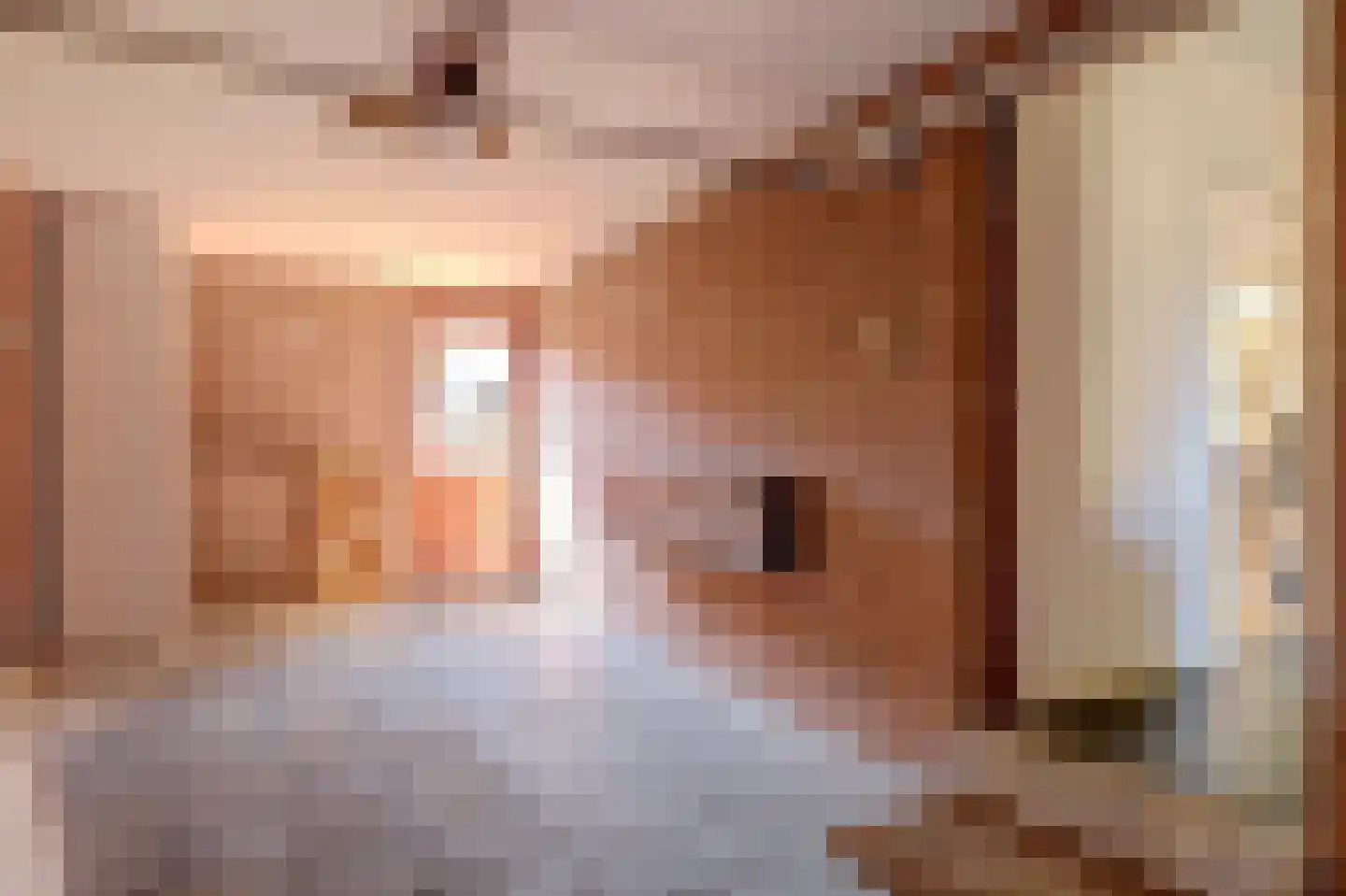 Visserstraat 5 Egmond aan Zee thumbnail 32