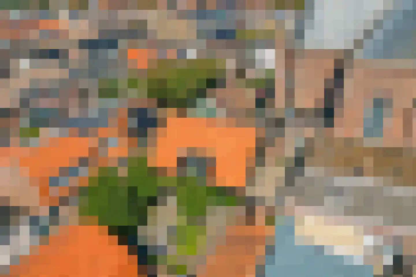 Visserstraat 5 Egmond aan Zee thumbnail 35