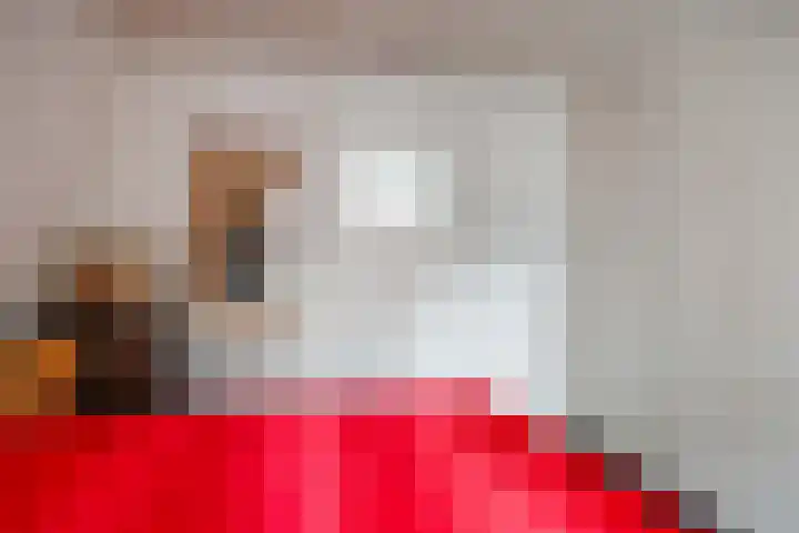 Visserstraat 5 Groningen thumbnail 24
