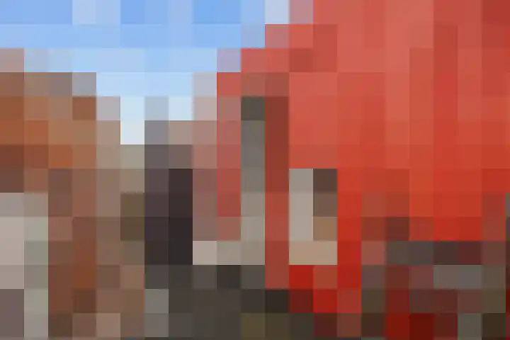 Visserstraat 5 Groningen thumbnail 29
