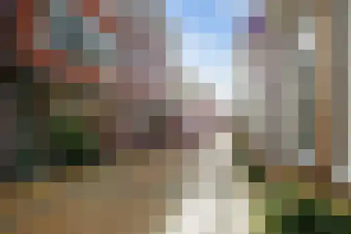 Visserstraat 5 Groningen thumbnail 7