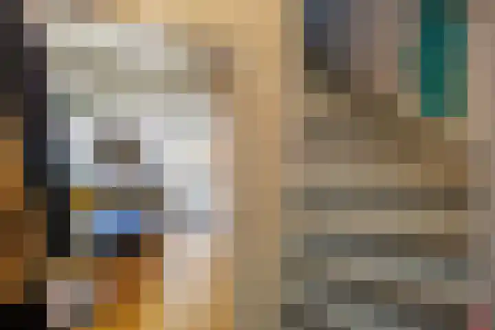 Visserstraat 5 Groningen thumbnail 8