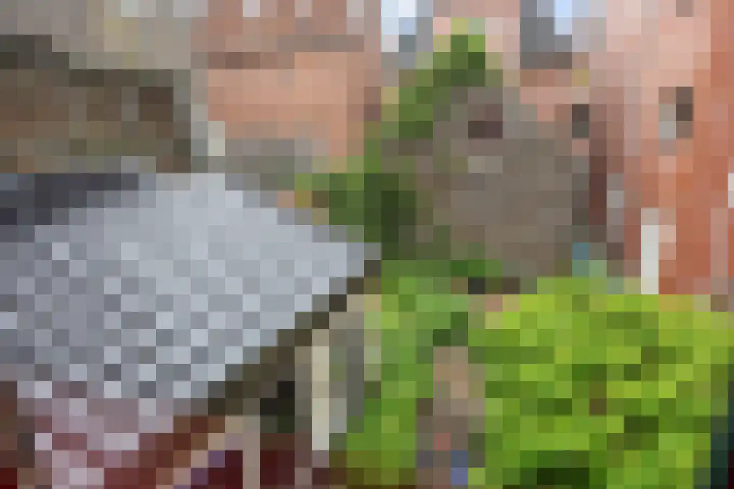 Visserstraat 57 Groningen thumbnail 38