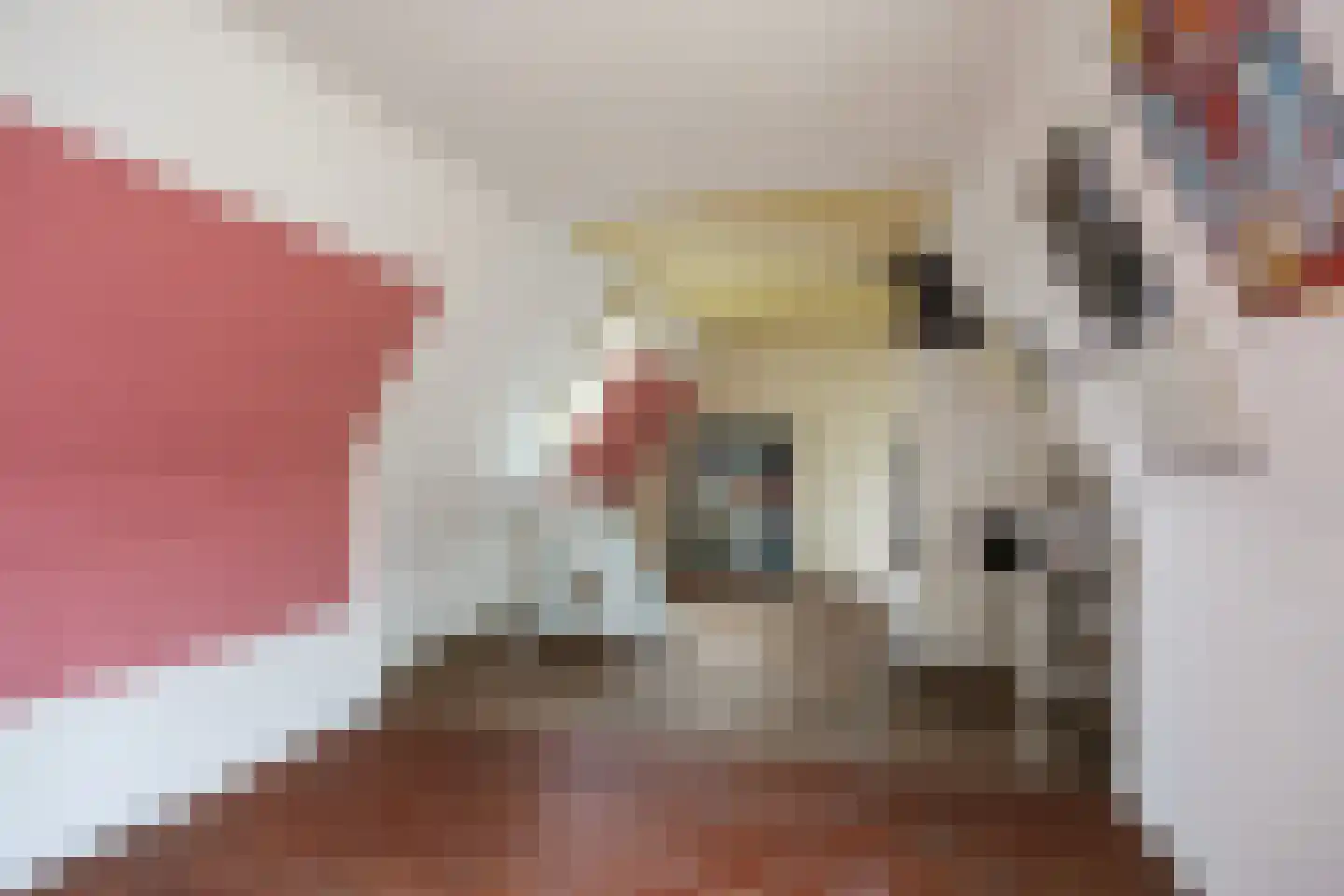 Visserstraat 57 Groningen thumbnail 43