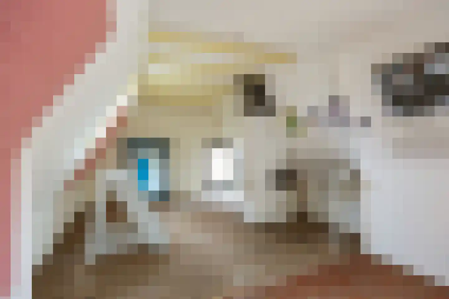 Visserstraat 57 Groningen thumbnail 44