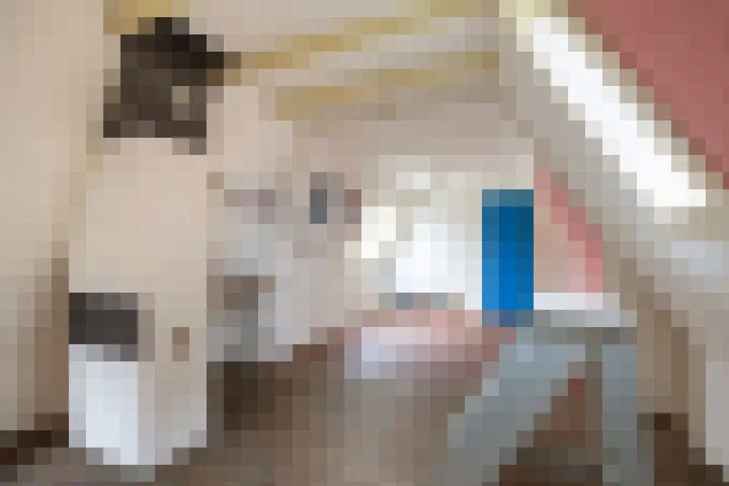 Visserstraat 57 Groningen thumbnail 45