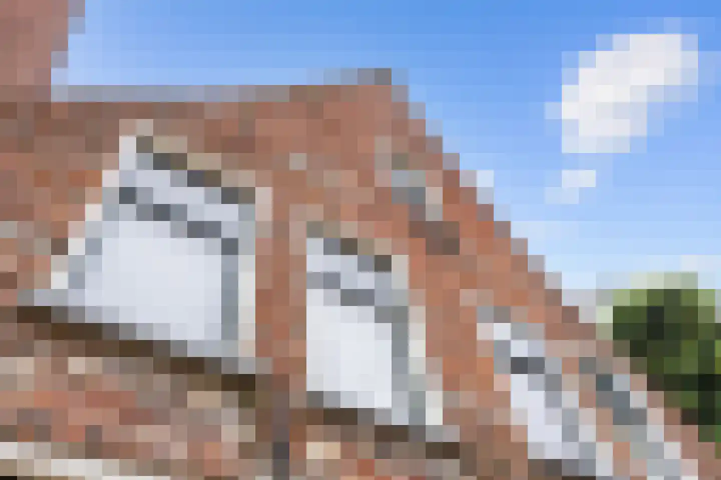 Visserstraat 57 Groningen thumbnail 8