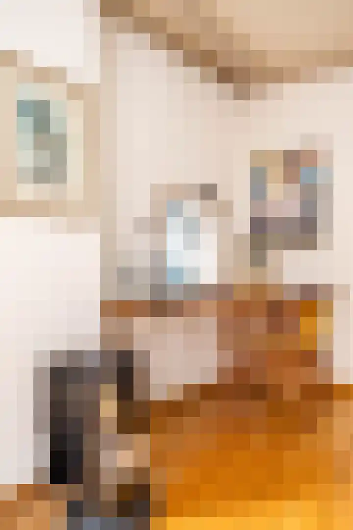 Visserstraat 63 Groningen thumbnail 19