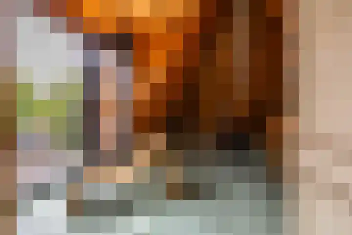 Visserstraat 63 Groningen thumbnail 38