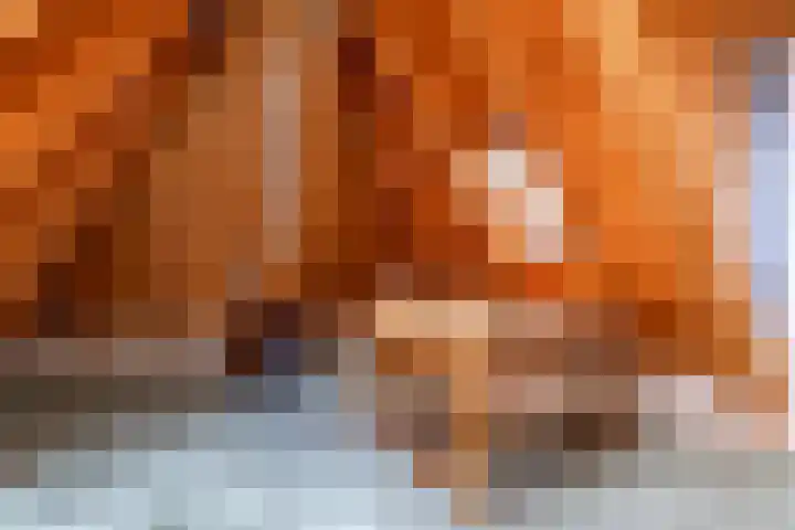 Visserstraat 63 Groningen thumbnail 39