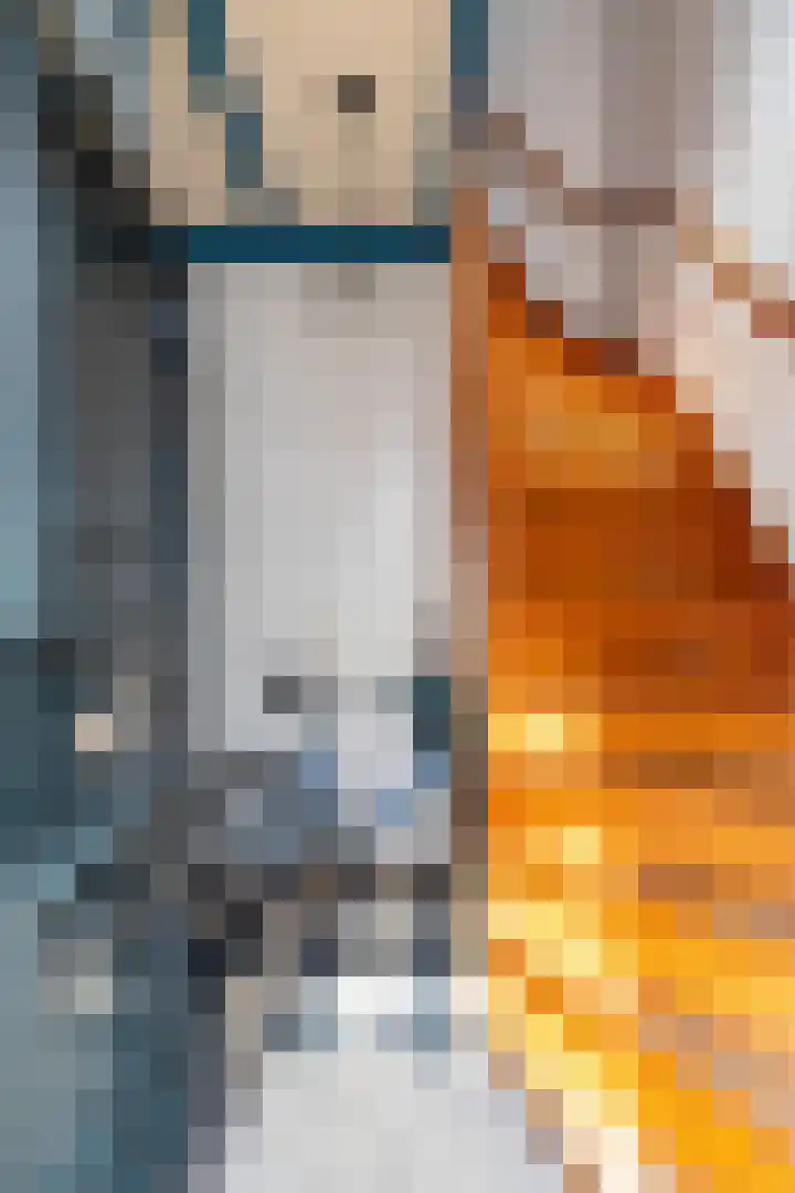 Visserstraat 63 Groningen thumbnail 4