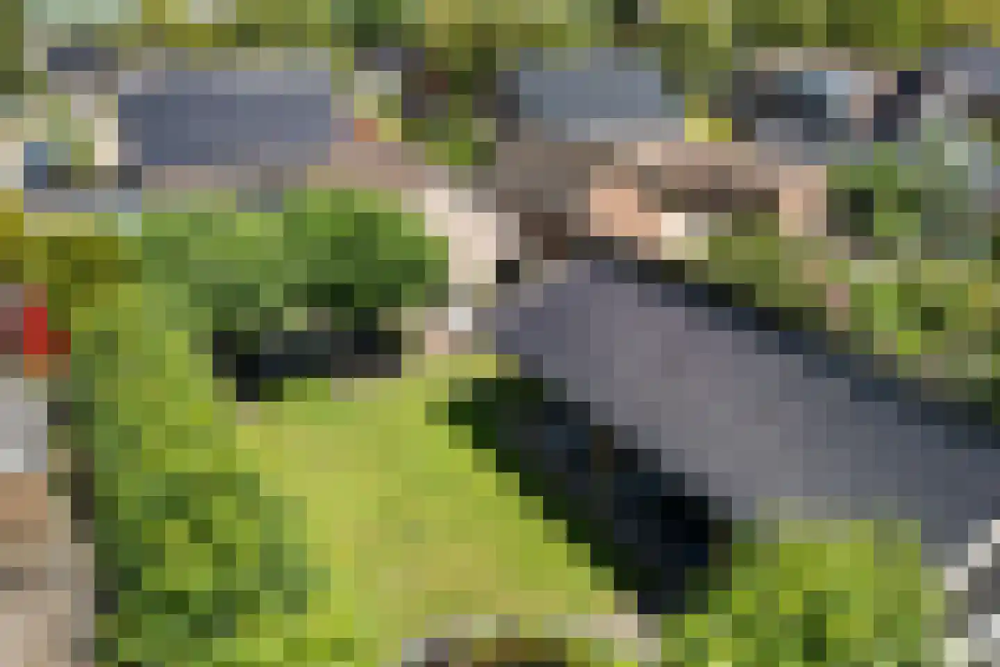 Visserstraat 9 Klijndijk thumbnail 43