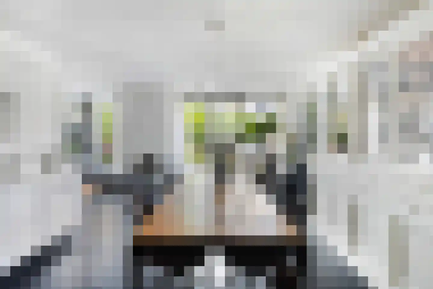 Visserstuin 100 Dordrecht thumbnail 19