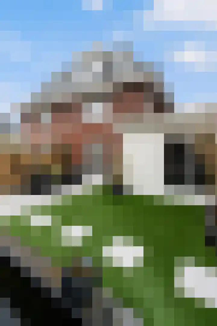 Visserstuin 117 Dordrecht thumbnail 64
