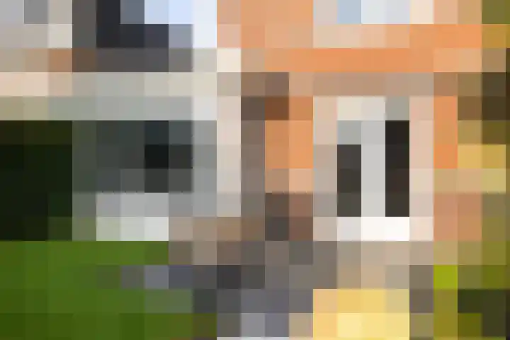 Visserstuin 150 Dordrecht thumbnail 28