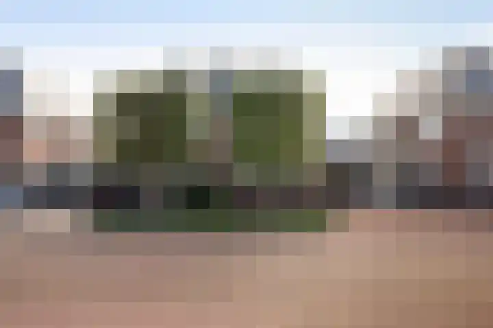 Visserstuin 150 Dordrecht thumbnail 6