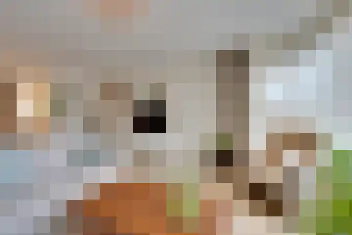 Vissersvenplein 15 Volendam thumbnail 12