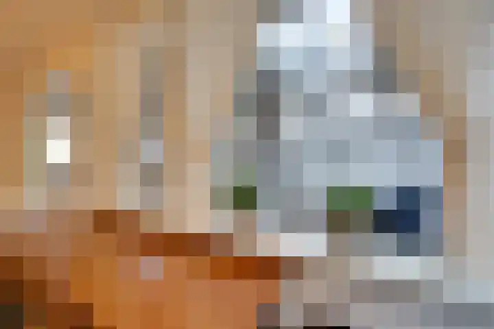 Vissersvenplein 15 Volendam thumbnail 23
