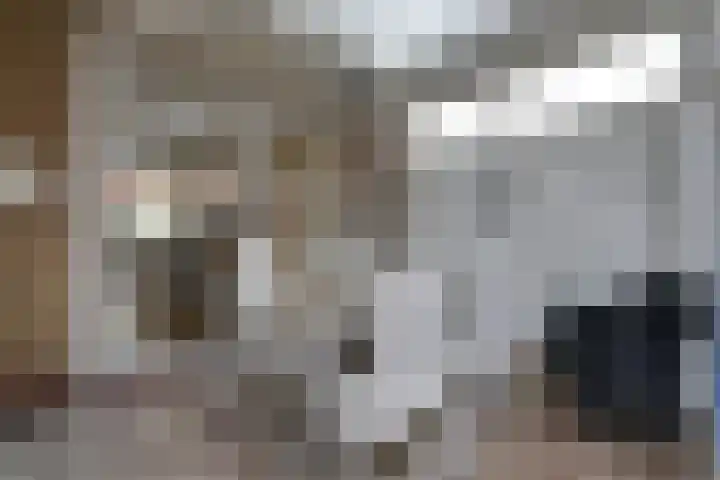 Vissersvenplein 15 Volendam thumbnail 29