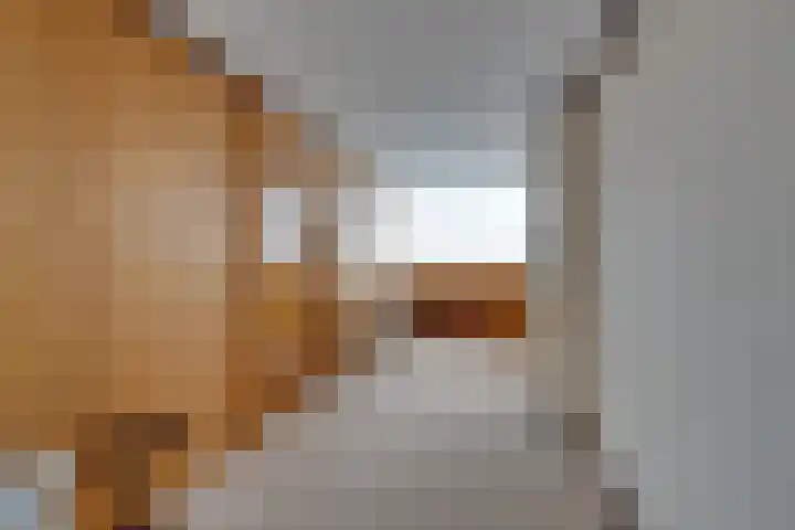 Vissersvenplein 15 Volendam thumbnail 48