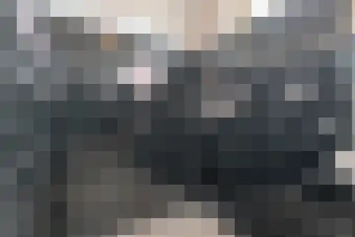 Vissersvenplein 4 Volendam thumbnail 23