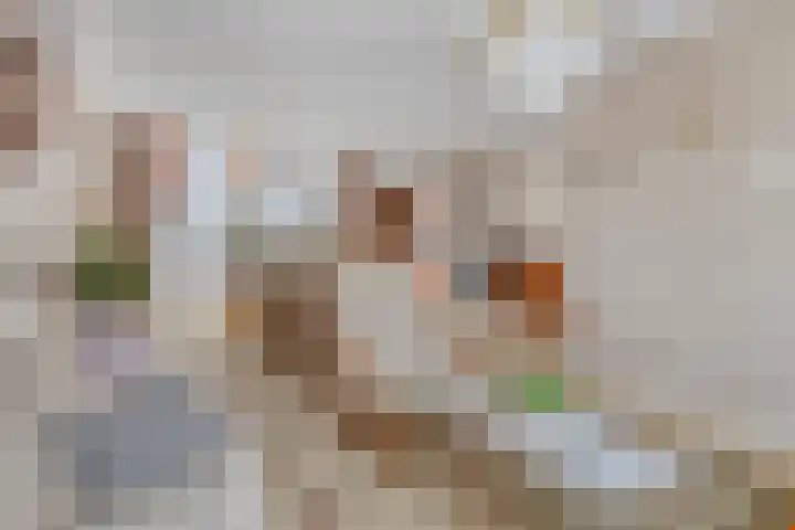 Vissersvenplein 5 Volendam thumbnail 4