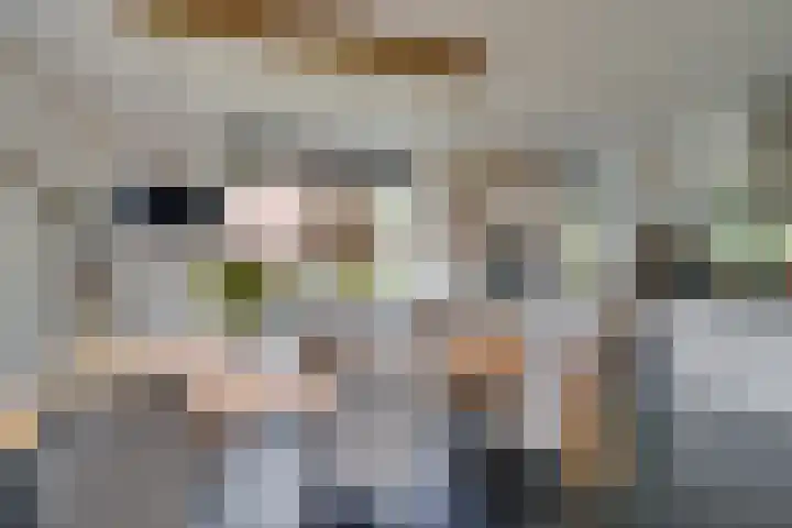 Vissersweg 17 Elst Ut thumbnail 13