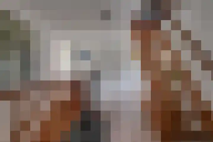 Vissersweg 17 Elst Ut thumbnail 17