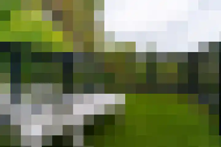 Vissersweg 17 Elst Ut thumbnail 23
