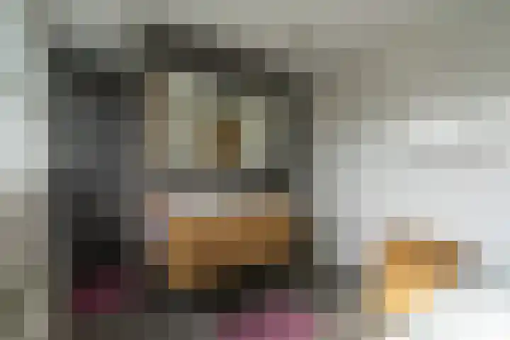 Vissersweg 17 Elst Ut thumbnail 26