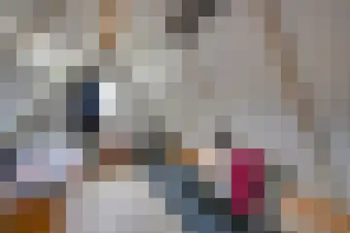 Vissersweg 17 Elst Ut thumbnail 28