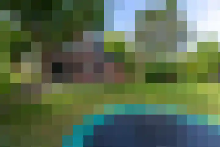 Vissersweg 17 Elst Ut thumbnail 29