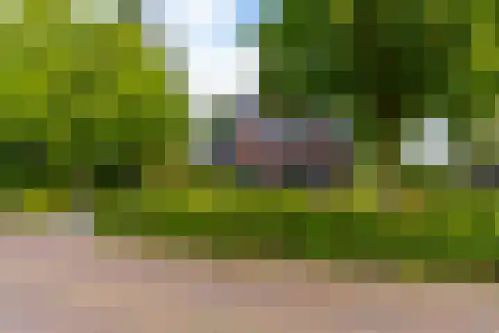 Vissersweg 17 Elst Ut foto 3