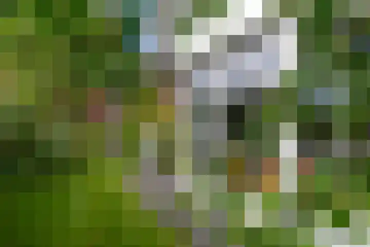 Vissersweg 17 Elst Ut thumbnail 32