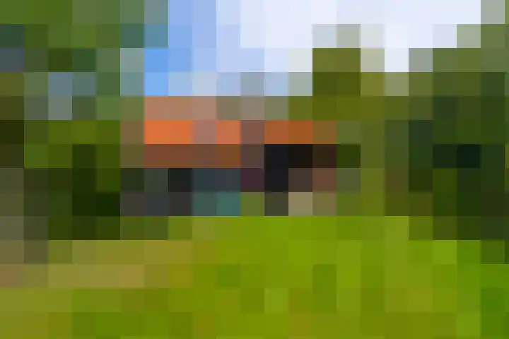 Vissersweg 17 Elst Ut thumbnail 33