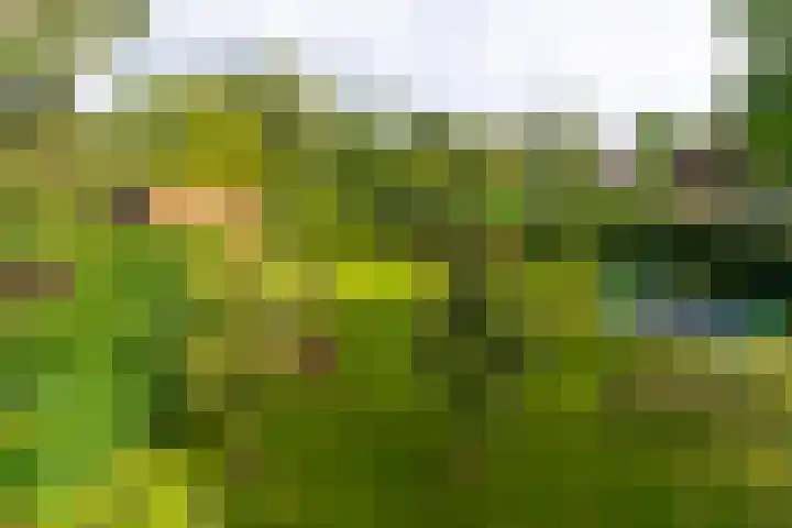 Vissersweg 17 Elst Ut thumbnail 35