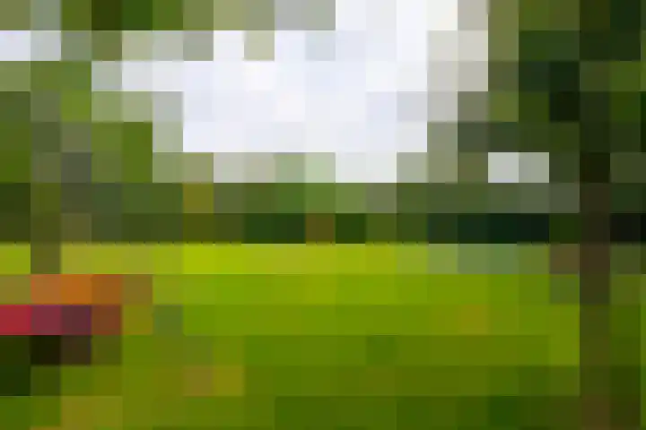 Vissersweg 17 Elst Ut thumbnail 36