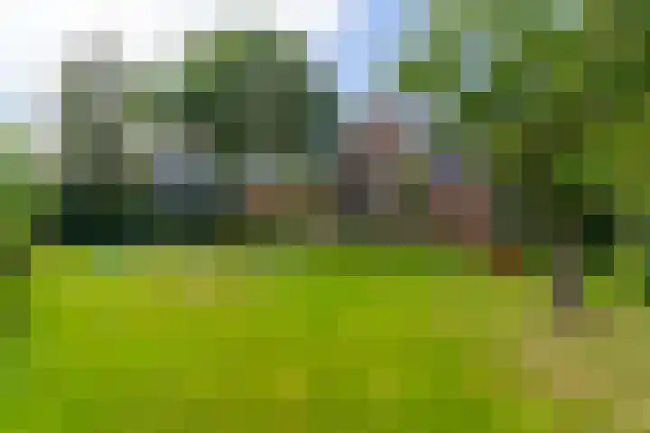 Vissersweg 17 Elst Ut thumbnail 5