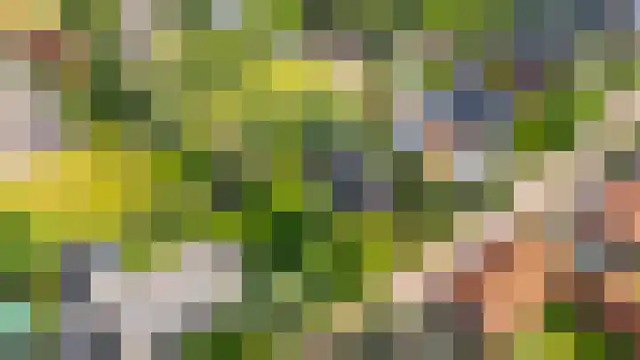 Vissersweg 17 Elst Ut thumbnail 7