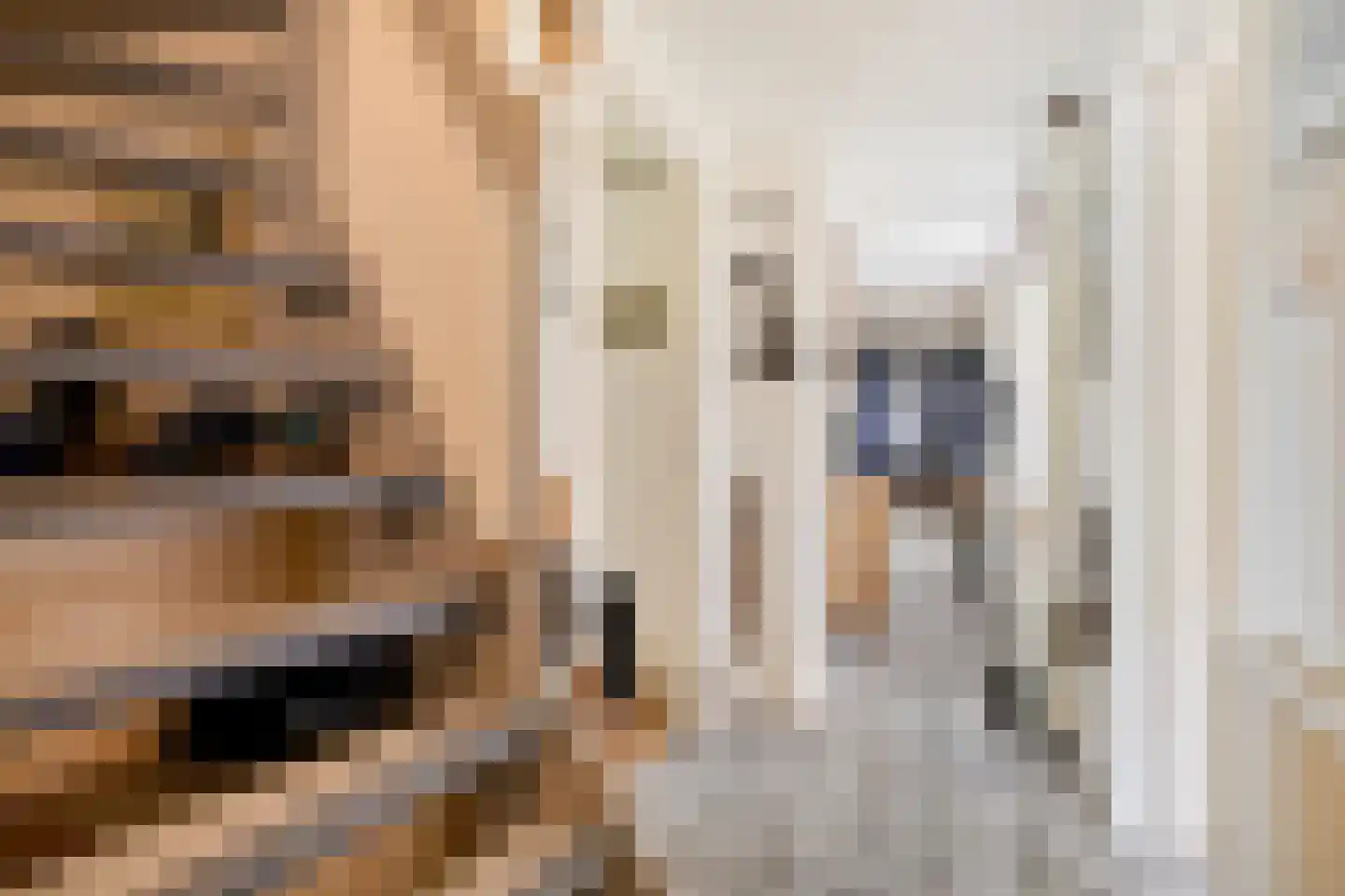 Vissersweg 35 Elst Ut thumbnail 11