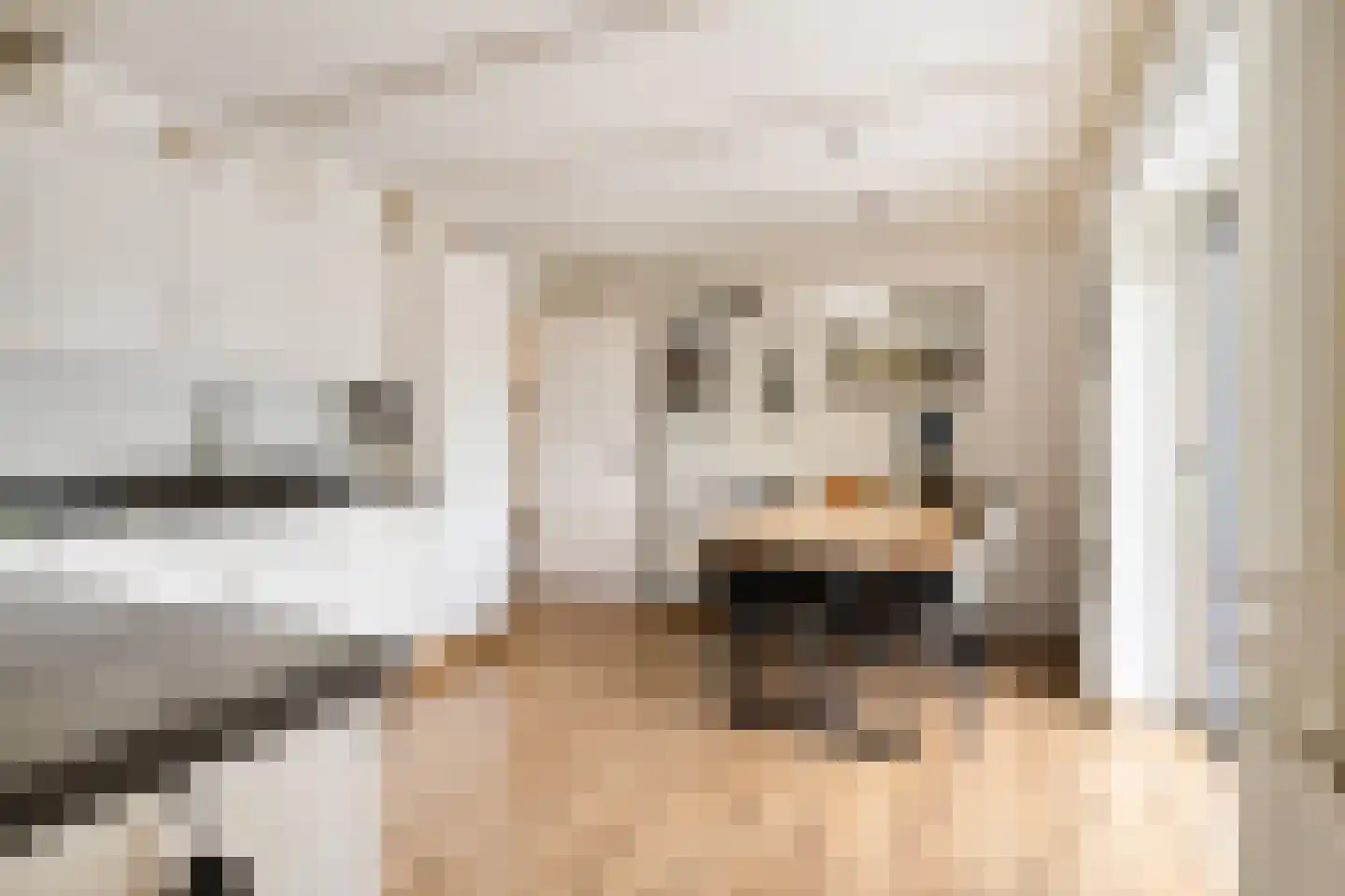 Vissersweg 35 Elst Ut thumbnail 15